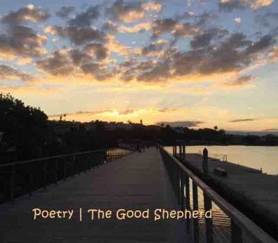 The Good Shepherd – a poem by Angela Coleman